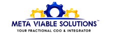 Meta Viable Solutions Meta Viable Solutions